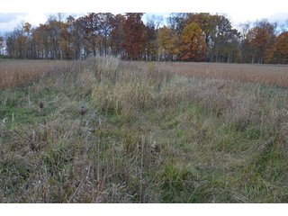 Property photo 24 - 127 Acres Offered in 8 Tracts - Allen & Dekalb County Land